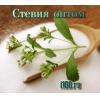200 грамм концентрата стевии (стевиозид), натуральный заменитель сахара